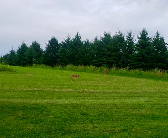 $749,900 | S6998 Missel Road, De Soto, WI 54624