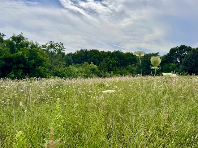 $749,900 | S6998 Missel Road, De Soto, WI 54624