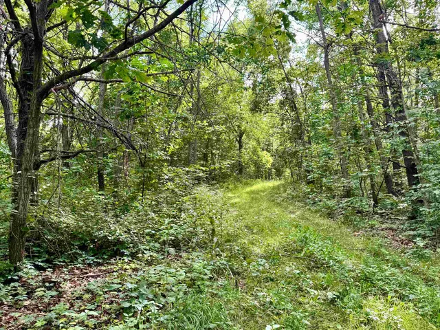 $749,900 | S6998 Missel Road, De Soto, WI 54624