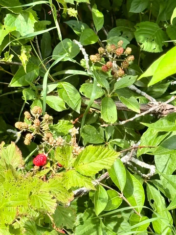 $749,900 | S6998 Missel Road, De Soto, WI 54624