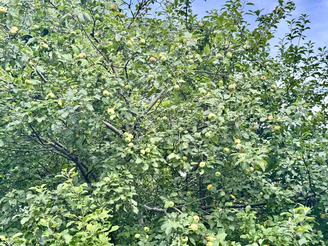 $749,900 | S6998 Missel Road, De Soto, WI 54624