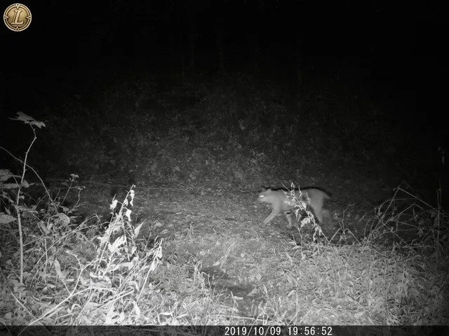 $749,900 | S6998 Missel Road, De Soto, WI 54624