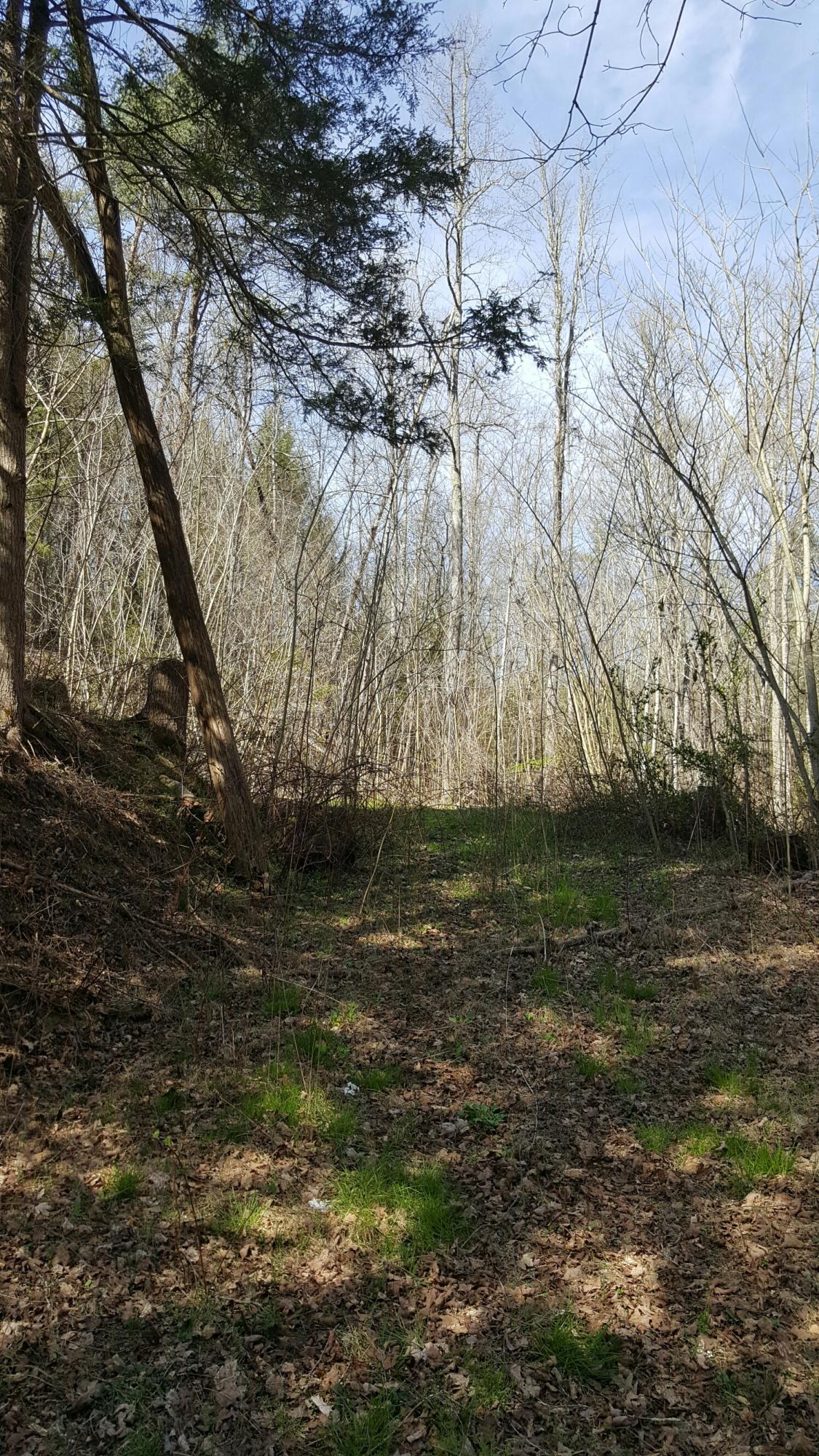 4413 Wilhite Road Cosby, TN 37722 - Photo 1 of 5 20160317_152130_resized