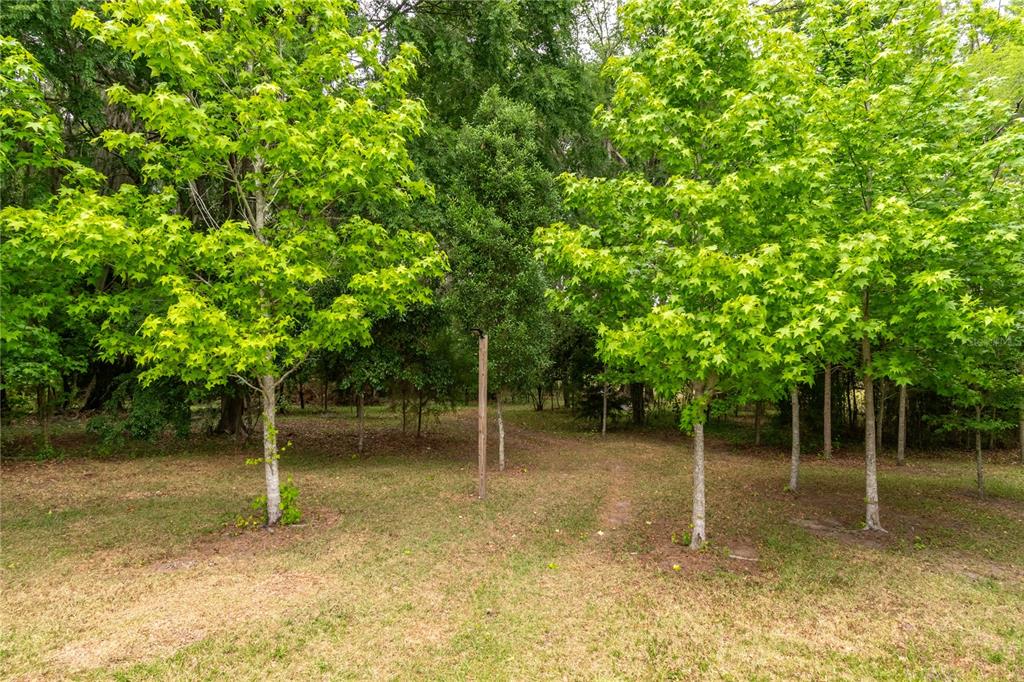 5021 Northwest 101st St Road Ocala, FL 34482 - Photo 69 of 85