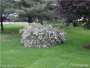 3311 Landview Drive Rochester, MI 48306 - Photo 18 of 23 3311 land bush.jpg
