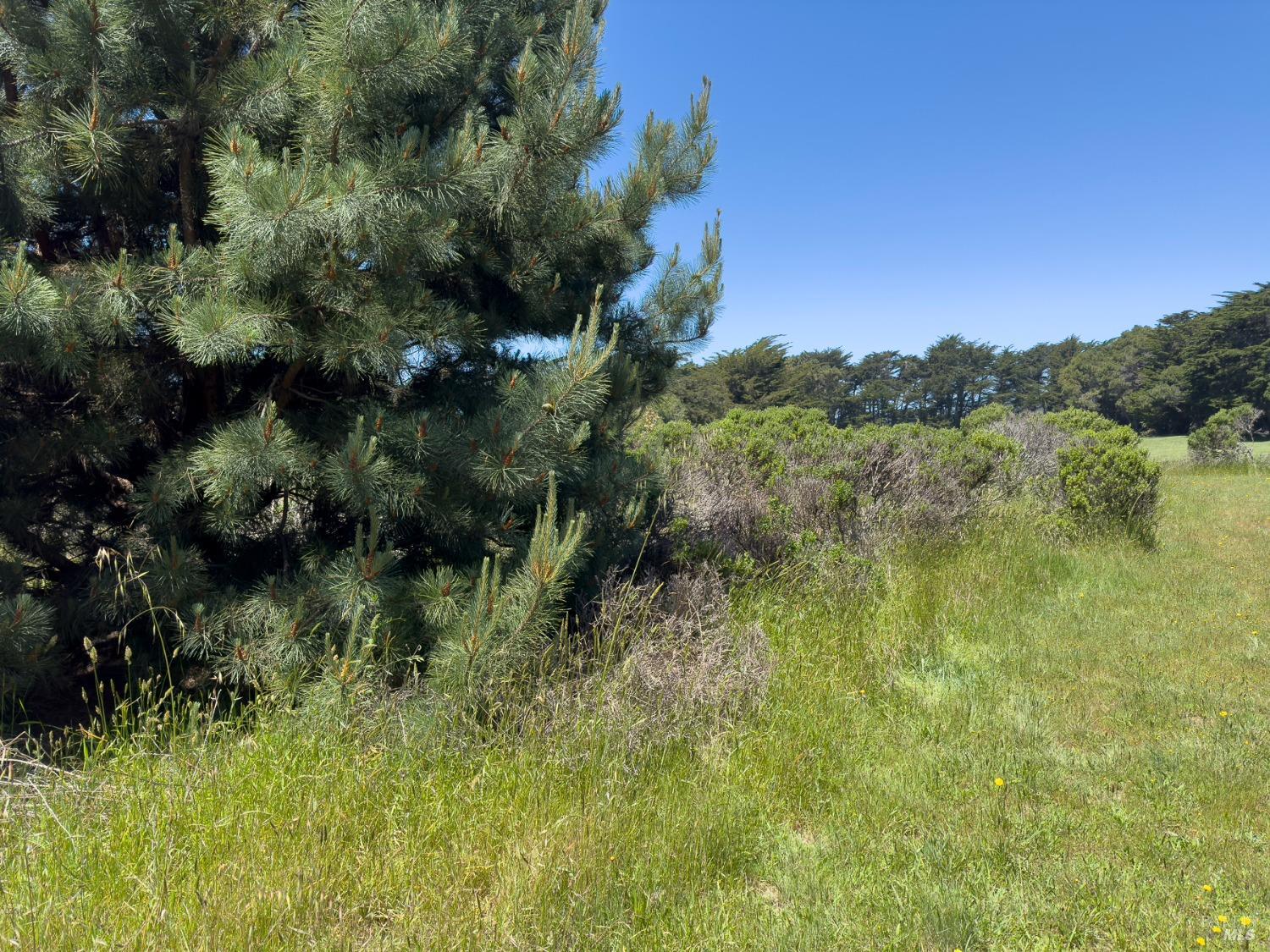 42320 Forecastle, Unit 35E2 The Sea Ranch, CA 95497 - Photo 12 of 34