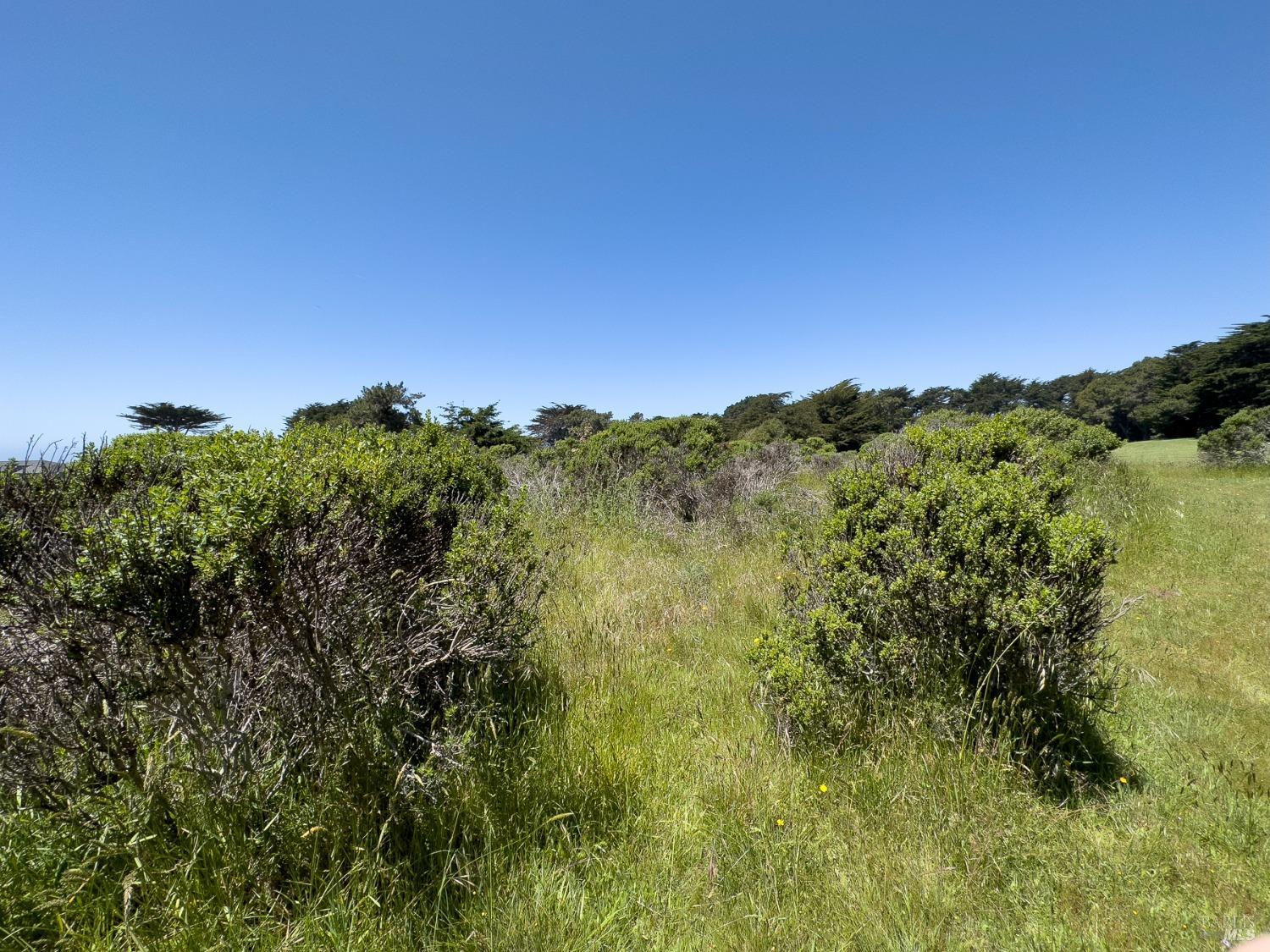 42320 Forecastle, Unit 35E2 The Sea Ranch, CA 95497 - Photo 14 of 34