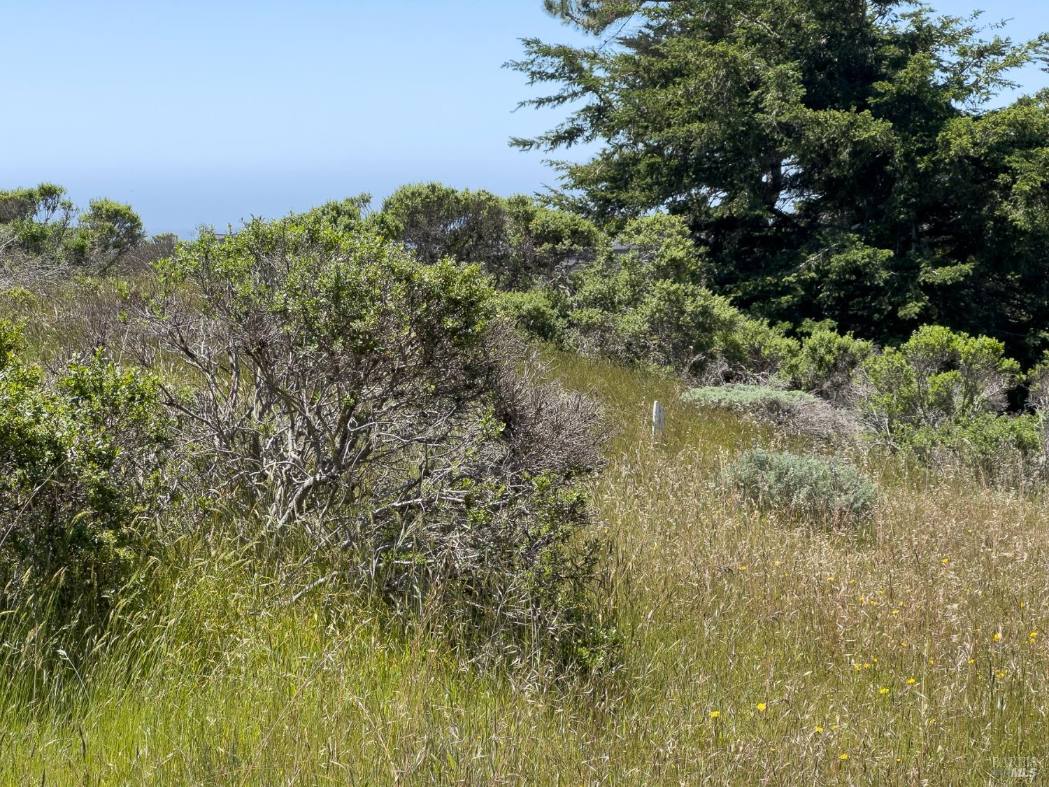 42320 Forecastle, Unit 35E2 The Sea Ranch, CA 95497 - Photo 24 of 34