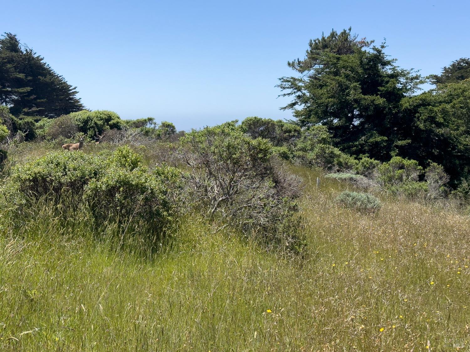 42320 Forecastle, Unit 35E2 The Sea Ranch, CA 95497 - Photo 25 of 34