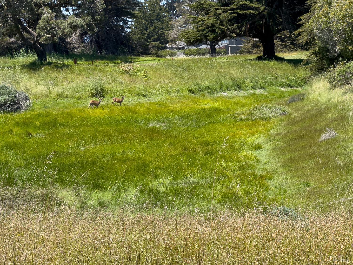 42320 Forecastle, Unit 35E2 The Sea Ranch, CA 95497 - Photo 27 of 34