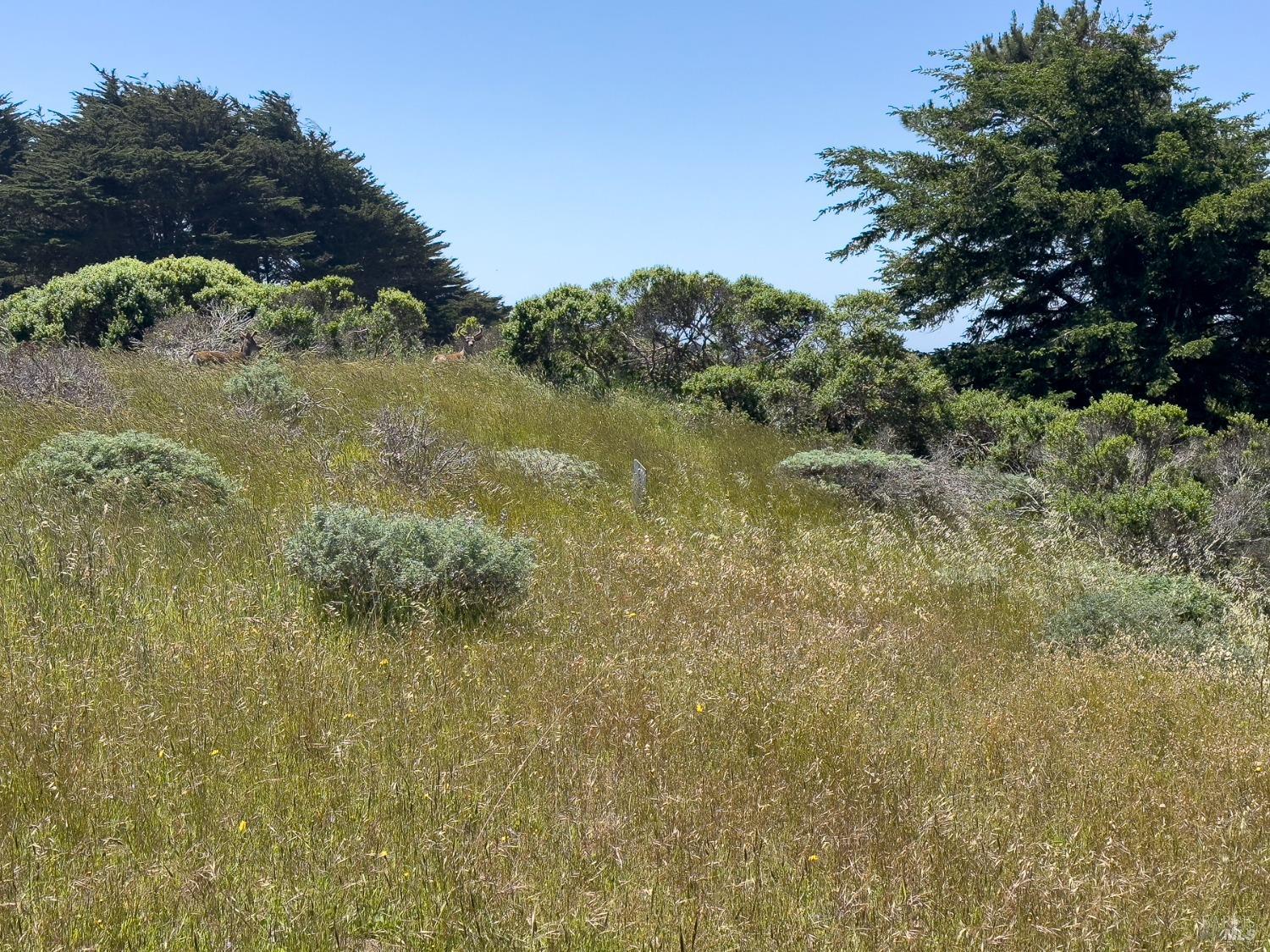 42320 Forecastle, Unit 35E2 The Sea Ranch, CA 95497 - Photo 28 of 34