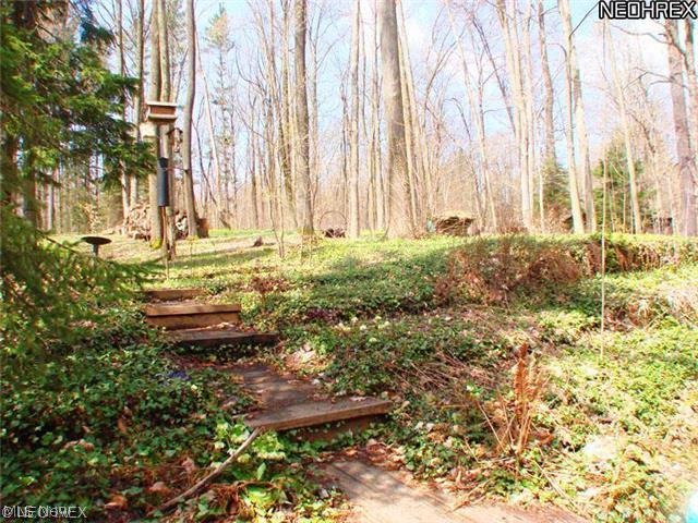 9232 Wilson Mills Road Chesterland, OH 44026 - Photo 24 of 25
