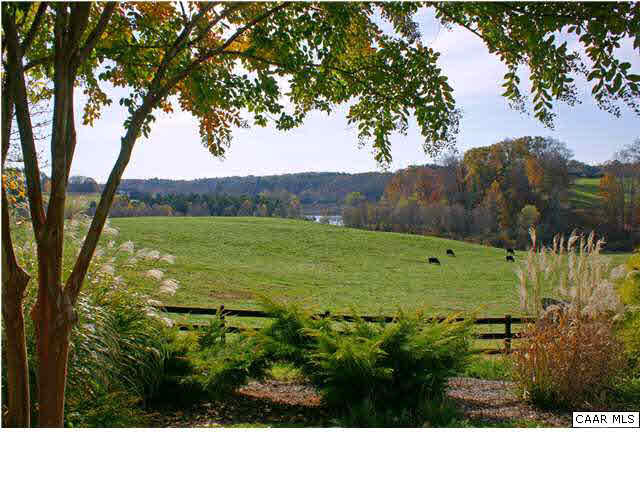 1921 Georgetown Farm Road, Unit FT Free Union, VA 22940 - Photo 8 of 9 a view of a field with an trees