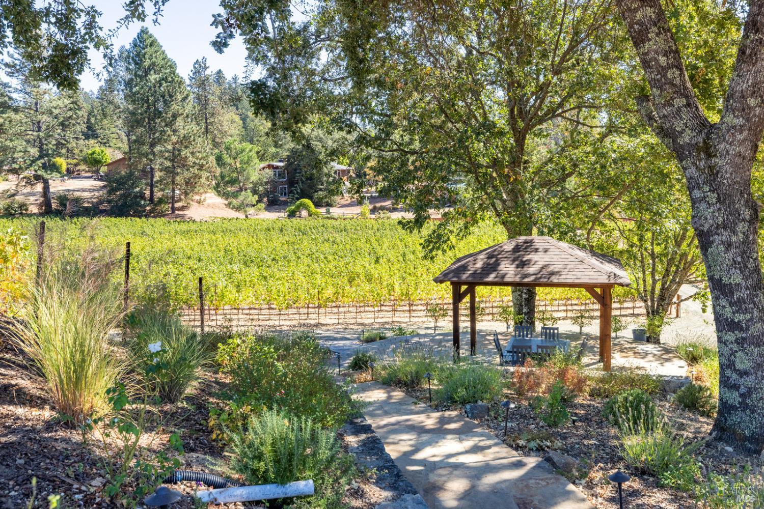 875 White Cottage Road North Angwin, CA 94508 - Photo 22 of 59 a view of a lake with a garden