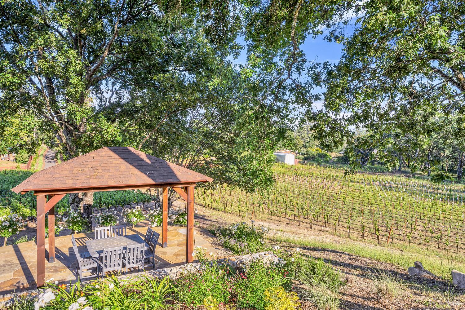 875 White Cottage Road North Angwin, CA 94508 - Photo 26 of 59 a view of swimming pool with lawn chairs under an umbrella