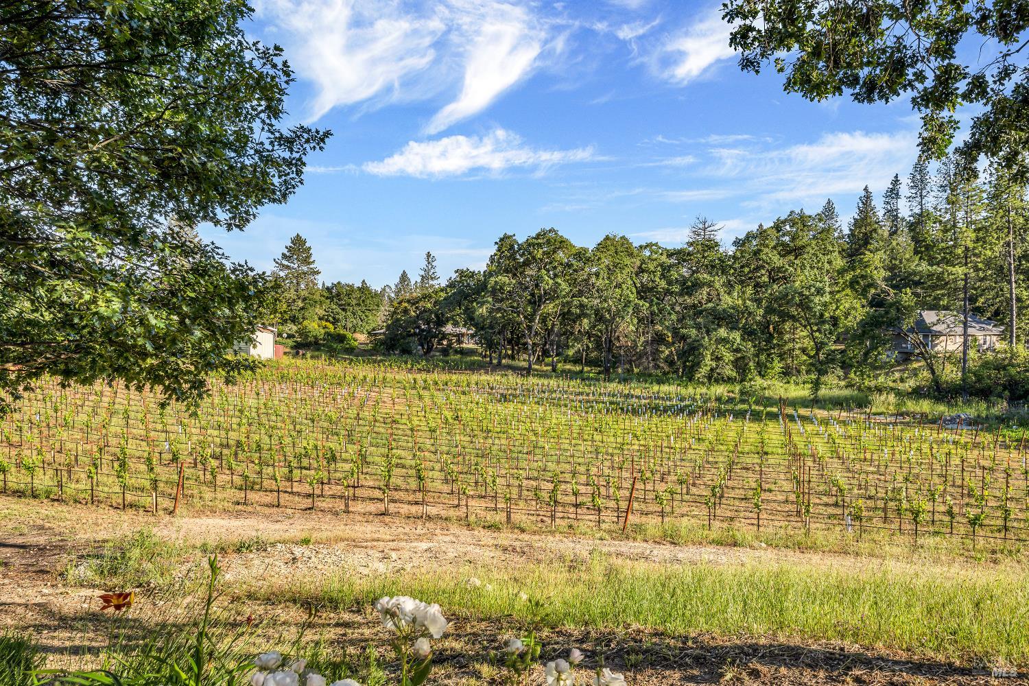 875 White Cottage Road North Angwin, CA 94508 - Photo 27 of 59 a view of an ocean