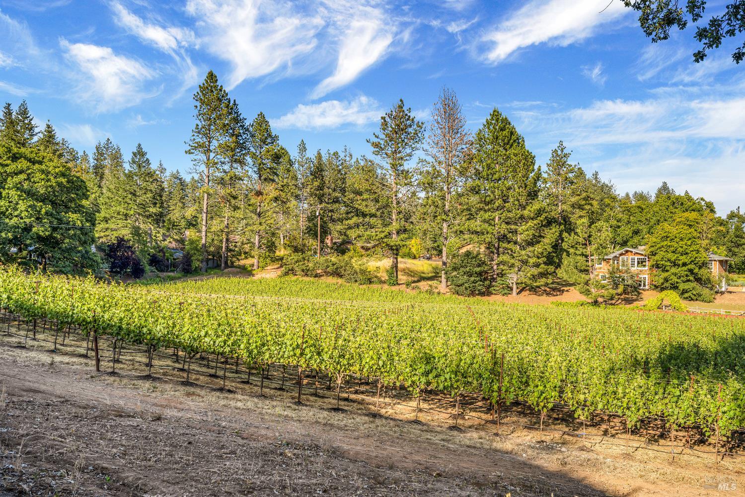875 White Cottage Road North Angwin, CA 94508 - Photo 29 of 59 a view of an ocean view