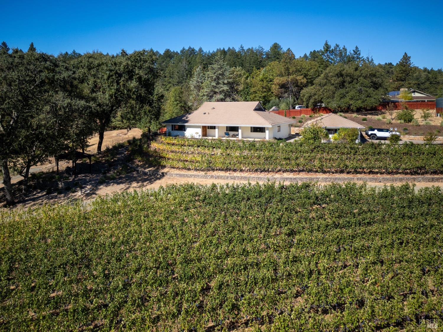 875 White Cottage Road North Angwin, CA 94508 - Photo 54 of 59 a view of a house with a big yard and large trees