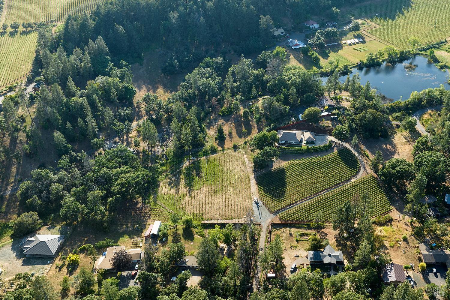 875 White Cottage Road North Angwin, CA 94508 - Photo 57 of 59 a view of a lake