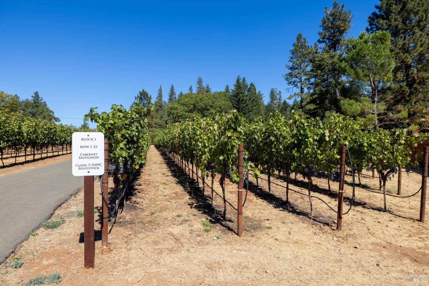 875 White Cottage Road North Angwin, CA 94508 - Photo 7 of 59