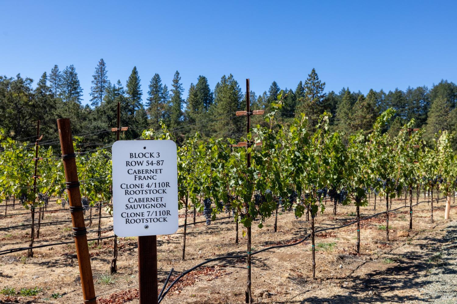 875 White Cottage Road North Angwin, CA 94508 - Photo 8 of 59 a sign board with view of trees