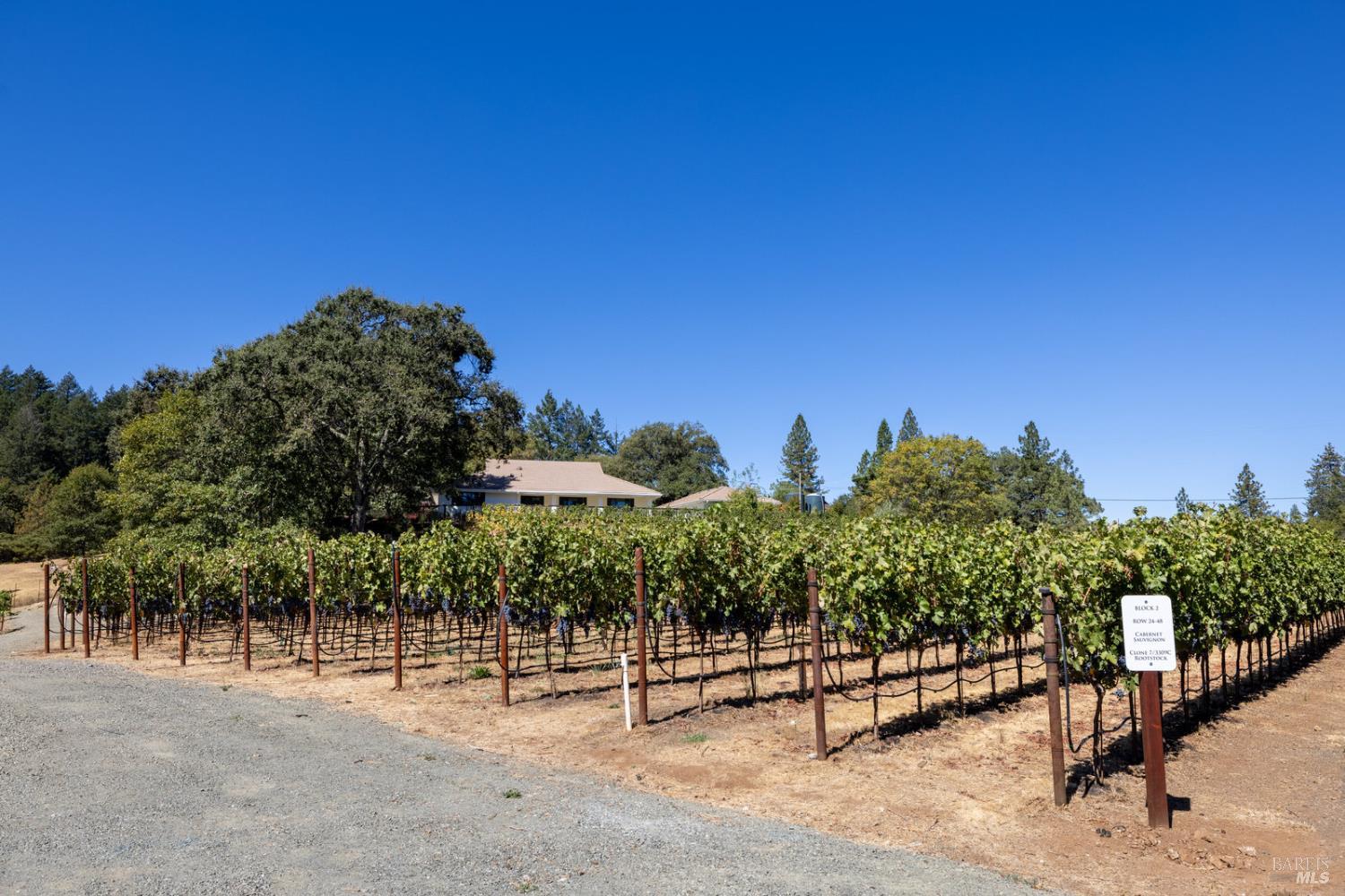 875 White Cottage Road North Angwin, CA 94508 - Photo 9 of 59