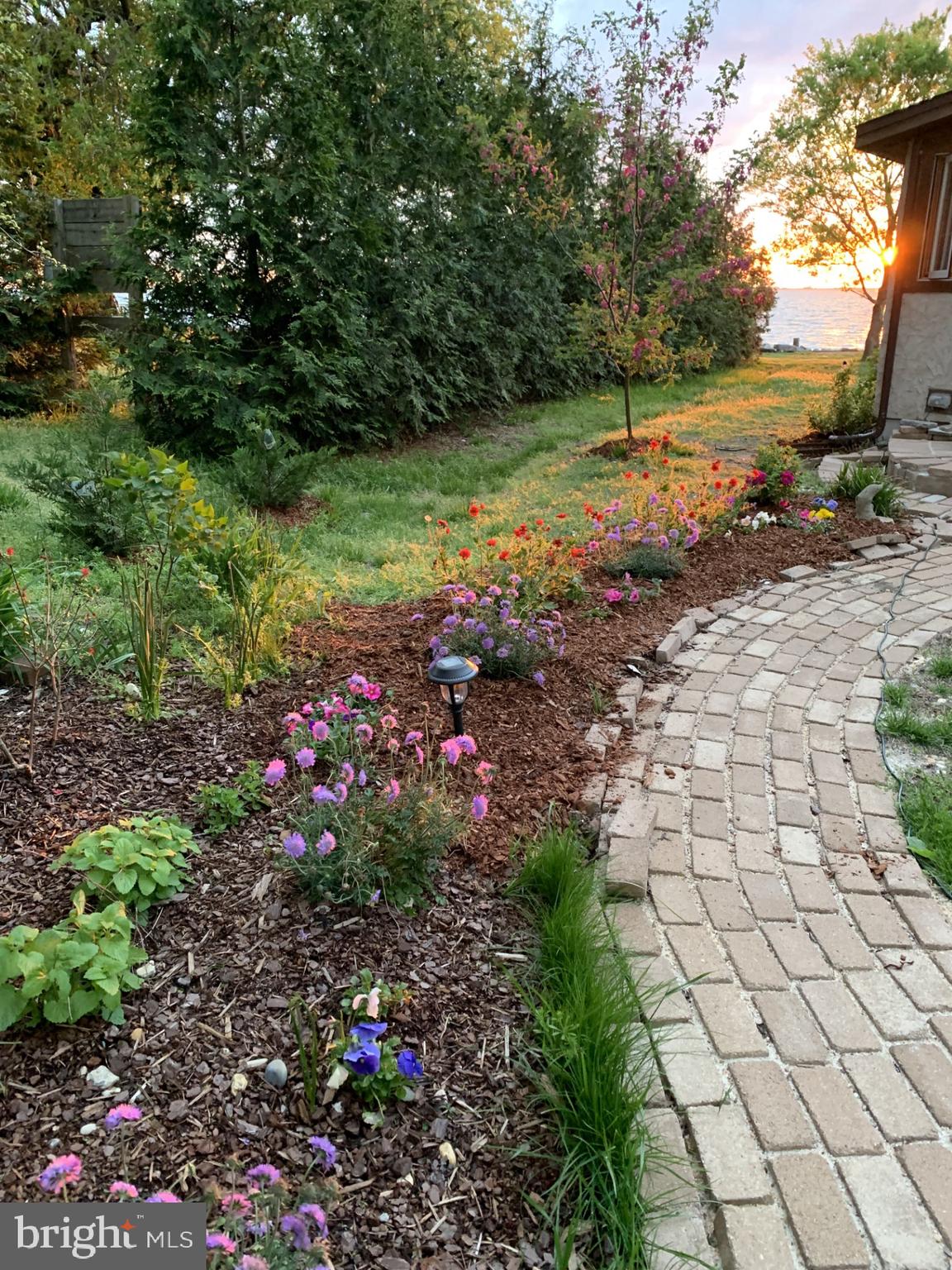 20800 Bivalve Wharf Road Bivalve, MD 21865 - Photo 30 of 31 a view of a garden with flowers