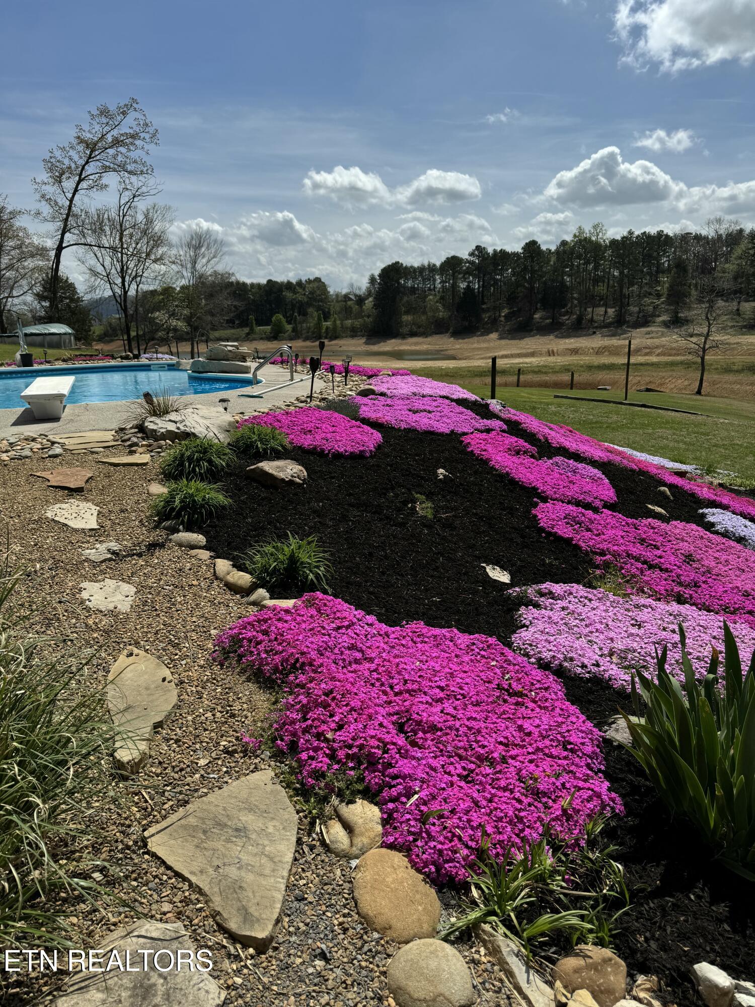 298 Cherokee Cove Rutledge, TN 37861 - Photo 18 of 32 IMG_5291