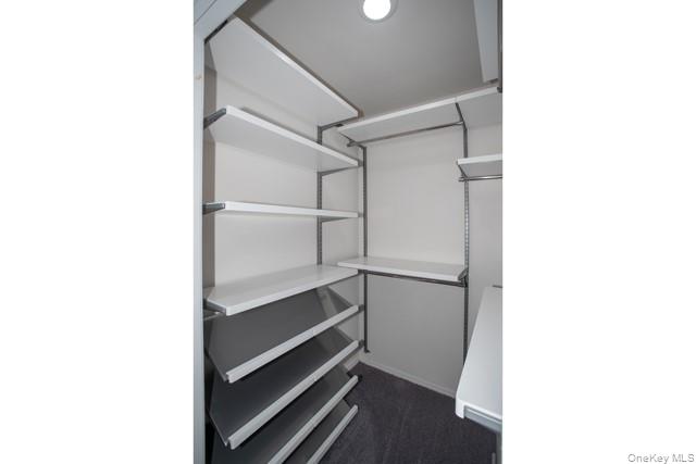 69 Overlook Drive, Unit 69 Farmingville, NY 11738 - Photo 14 of 16 a walk in closet with wooden floor