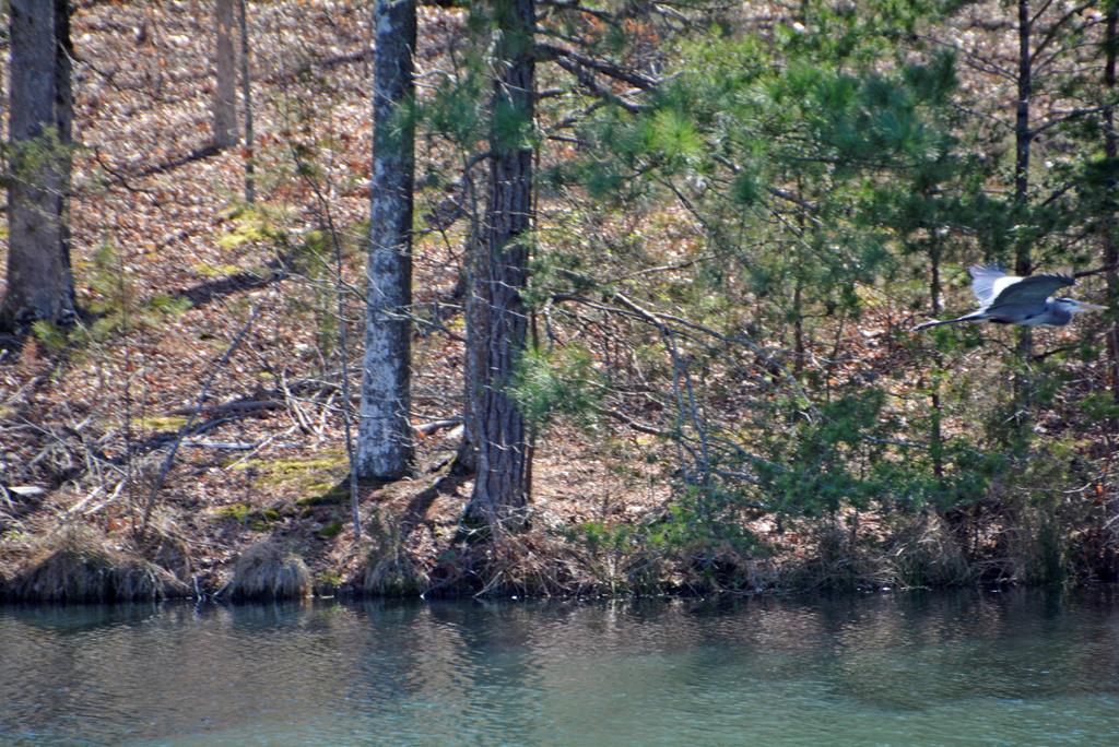 1547 Cumberland Road Farmville, VA 23901 - Photo 52 of 65 Gallery Image 52