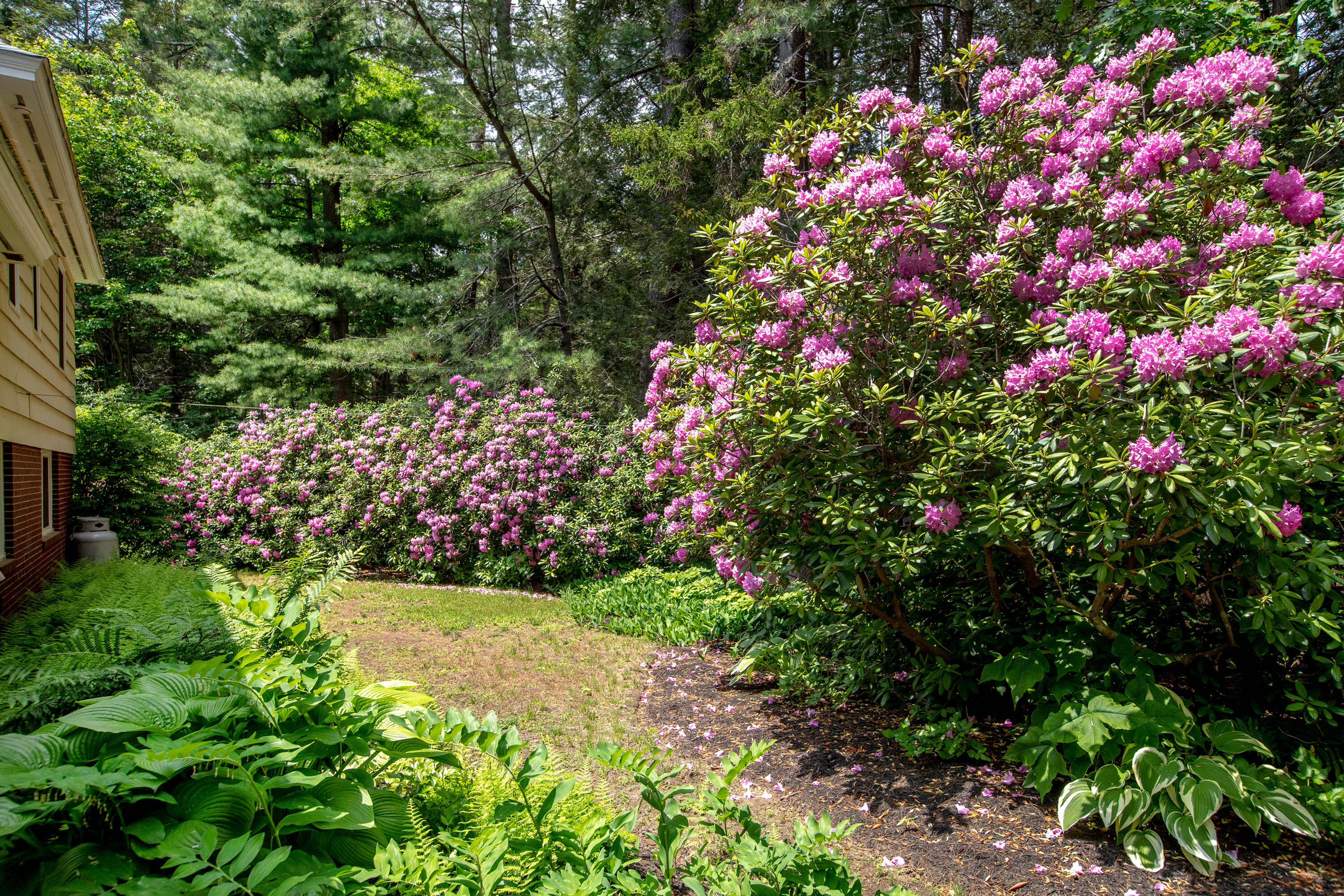 17 Meadowbrook Road Brunswick, ME 04011 - Photo 63 of 71 Well Landscaped