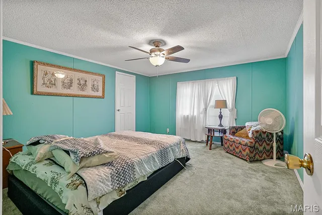 $75,000 | 2131 State Hwy Z, Steele, MO 63877