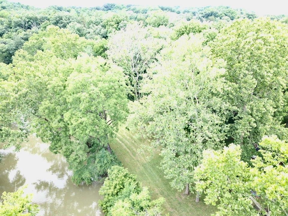 79 River Rdg Road Verona, VA 24482 - Photo 13 of 34 a view of a big yard with plants and large trees