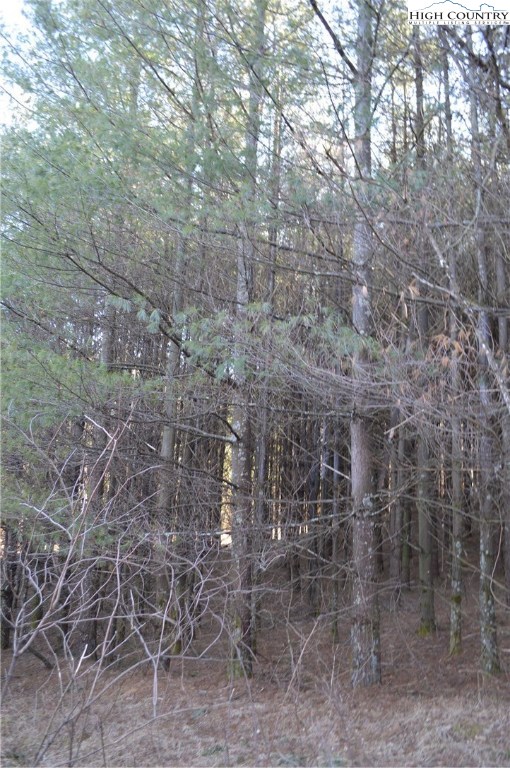 0 Little Pine Road Ennice, NC 28623 - Photo 32 of 37