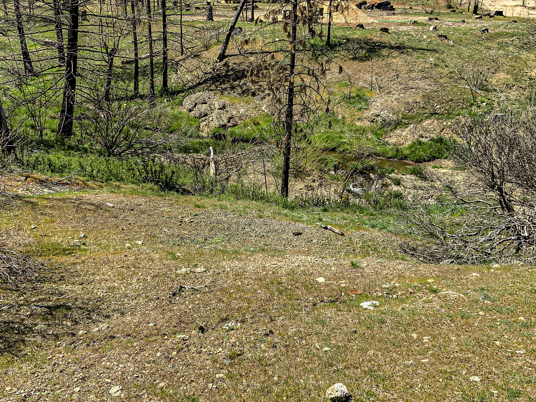 26670 Upper Mad River Road Mad River, CA 95552 - Photo 14 of 21 South Fork of the Mad River