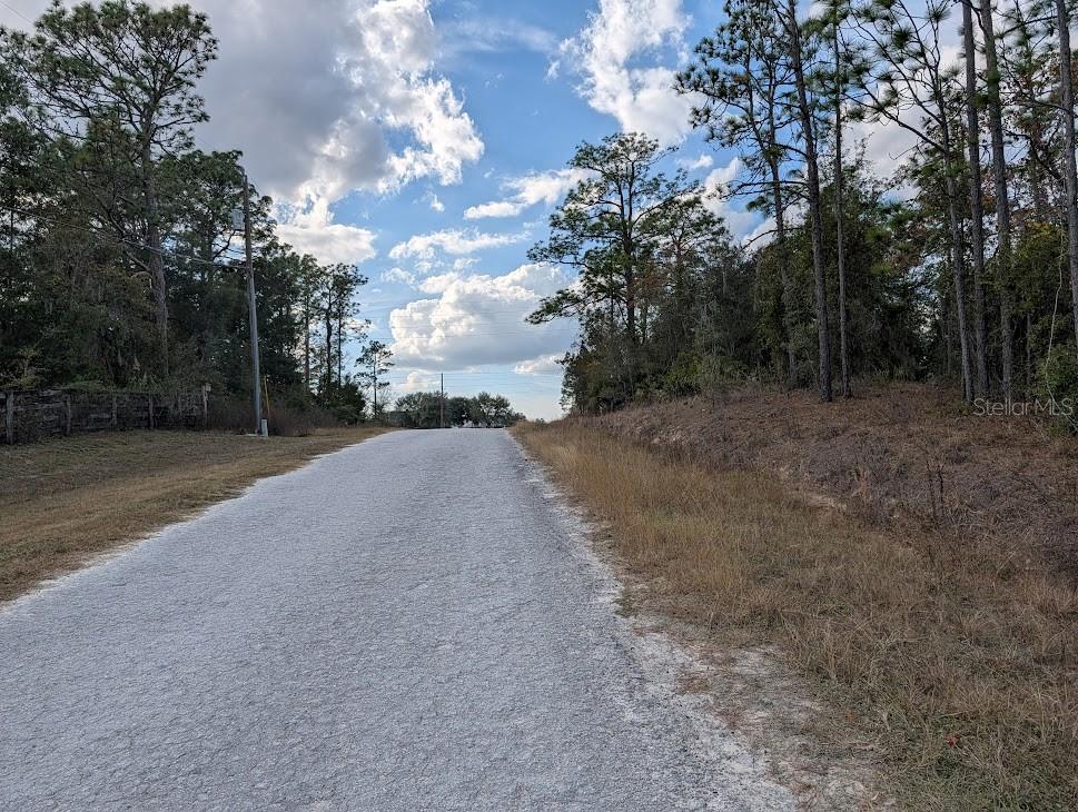 Southwest 53rd Street Ocala, FL 34481 - Photo 12 of 13 a view of a dirt road with trees in the background