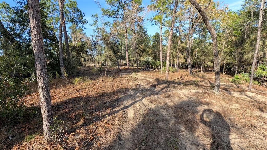 Southwest 53rd Street Ocala, FL 34481 - Photo 5 of 13 a backyard of a house with lots of green space