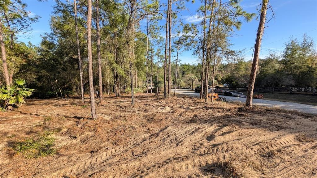 Southwest 53rd Street Ocala, FL 34481 - Photo 10 of 13 a backyard of a house with lots of green space