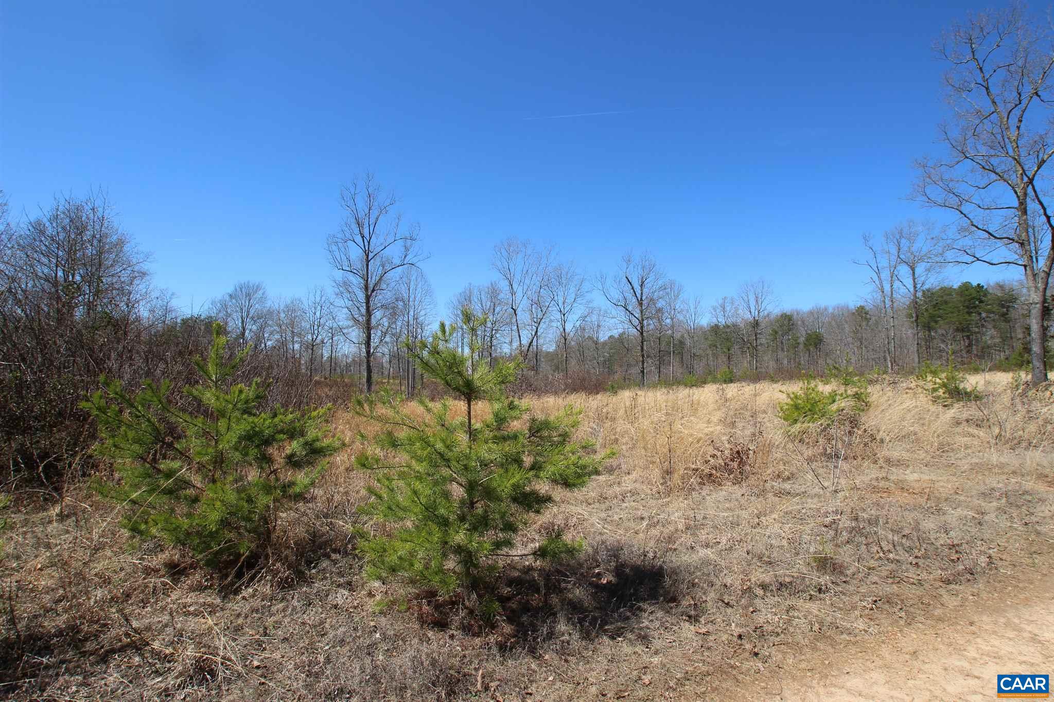 Lot A Beaver Creek Road, Unit A Orange, VA 22960 - Photo 3 of 3 Gallery Image 3