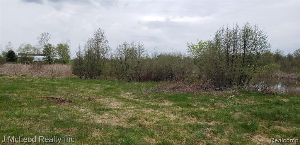 Parcel F Parcel F Birch Run Millington, MI 48746 - Photo 13 of 20