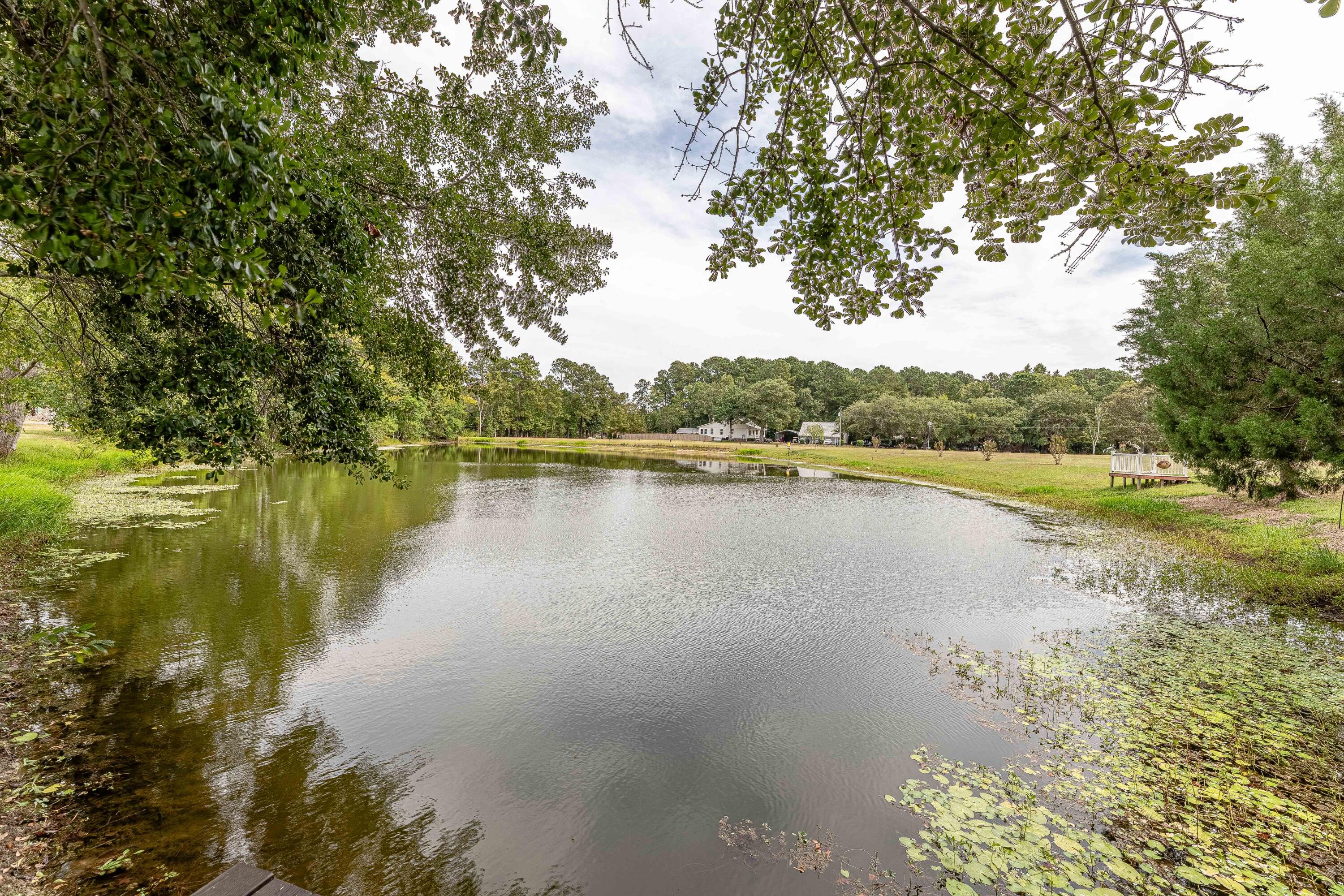 125 Rocks Pond Road Eutawville, SC 29048 - Photo 13 of 40 IMG_0003-HDR