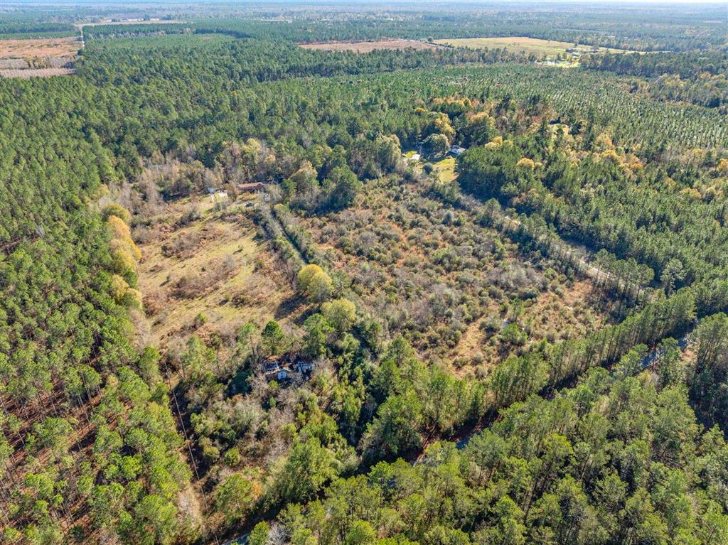 174 Calvin Foster Road Starks, LA 70661 - Photo 2 of 6