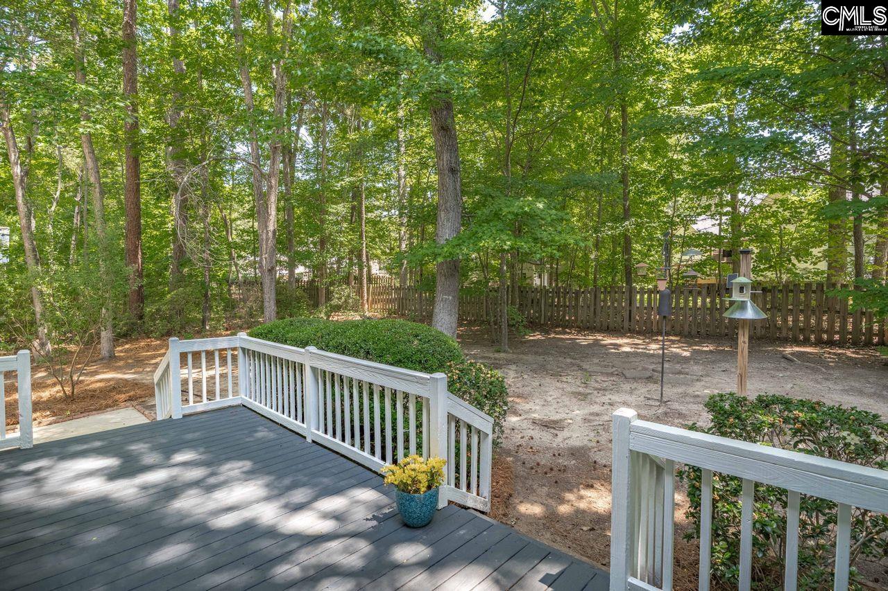 221 Baron Road Lexington, SC 29072 - Photo 39 of 45
