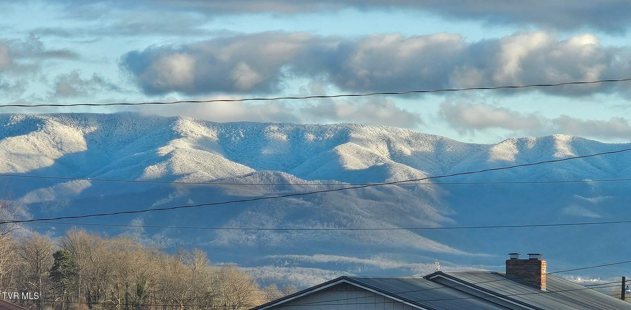 225 Plainview Heights Circle Greeneville, TN 37745 - Photo 57 of 62 facebook_1764031537068_73988845320513234