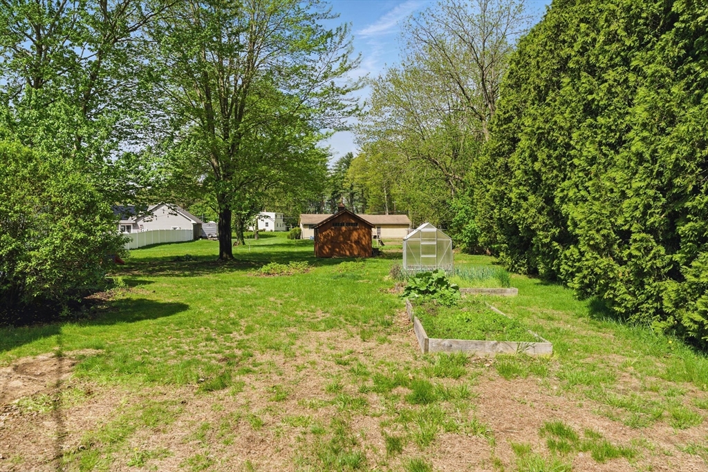 19 Straits Road Hatfield, MA 01038 - Photo 37 of 42 a green field with lots of trees