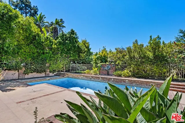 a view of a backyard with plants