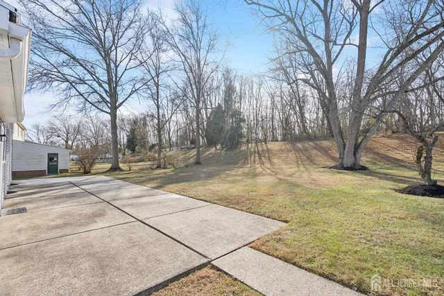 a view of yard with trees