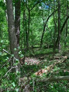6565 Hunt Road Pleasant Garden, NC 27313 - Photo 1 of 6 Gallery Image 1
