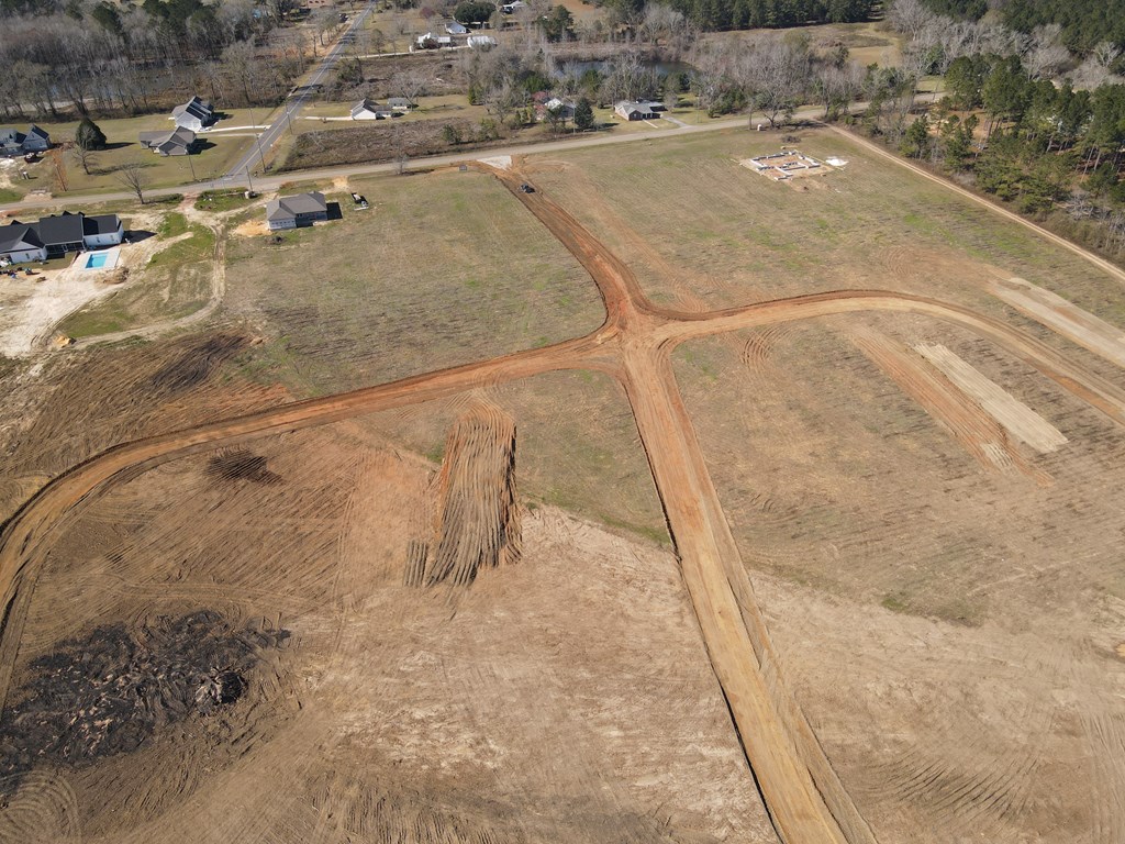 Lot 10 National Road Dothan, AL 36301 - Photo 2 of 4
