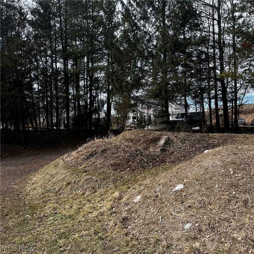 6589 Hathaway Road Valley View, OH 44125 - Photo 2 of 5 View of yard